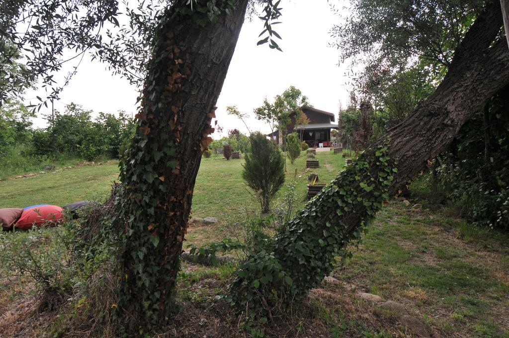 Agva Nehir Perisi Hotel Goce Room photo